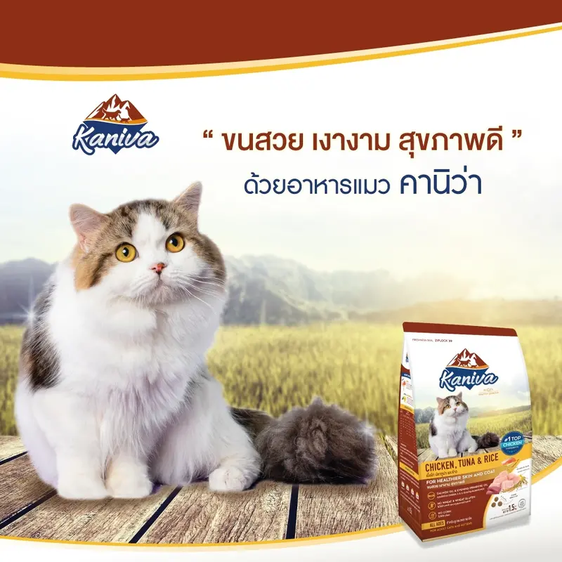 Kaniva อาหารเม็ดแมวคานิว่า… - ภาพที่ 3