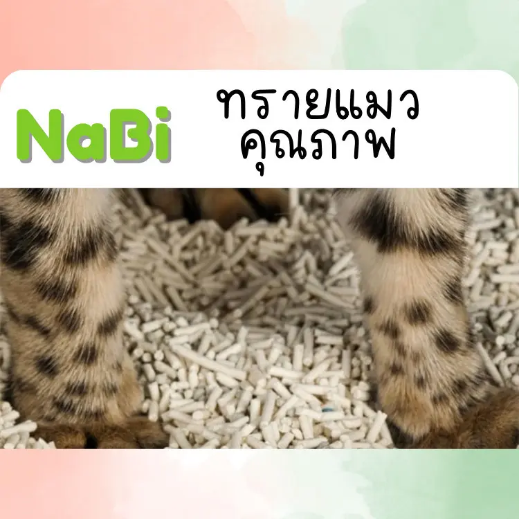 ทรายแมวเต้าหู้ 1 กก. ผลิตในไทย ออร์แกนิคแท้ 100% - ภาพที่ 6