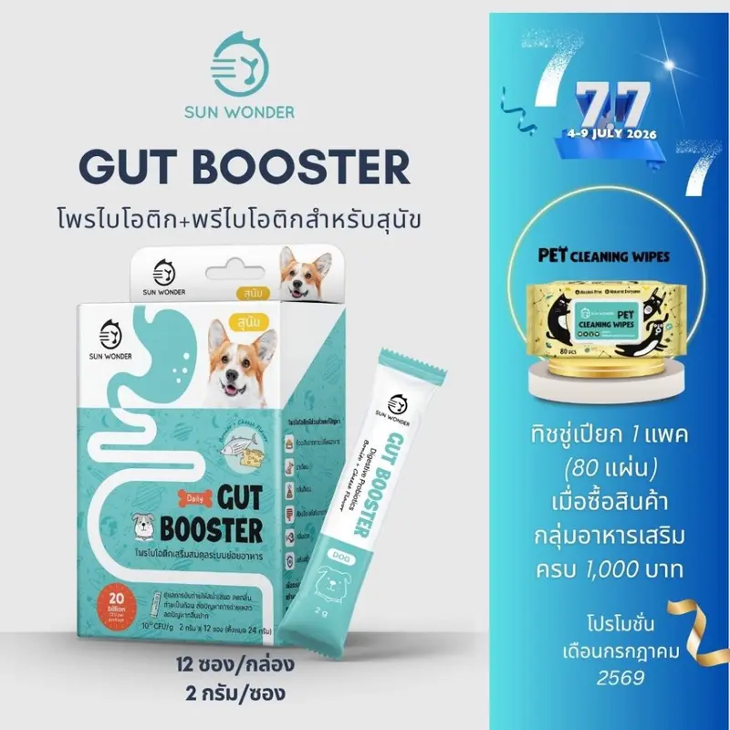(1 กล่อง/12 ซอง) SUN WONDER GUT BOOSTER… (1 กล่อง/12 ซอง) SUN WONDER GUT BOOSTER…