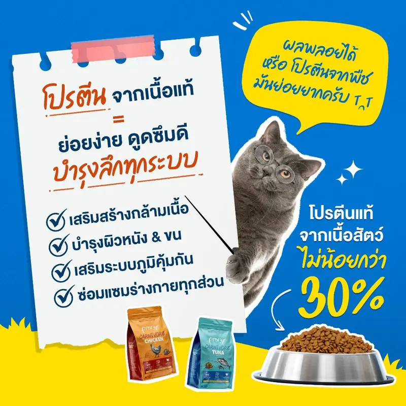 Pramy Carnivore อาหารเม็ดแมว เน้นเนื้อแท้ๆ… - ภาพที่ 4