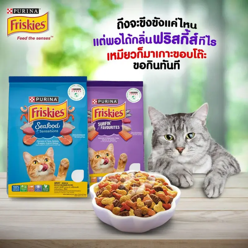 Purina Friskies อาหารเม็ดแมว โปรตีนสูง… - ภาพที่ 6