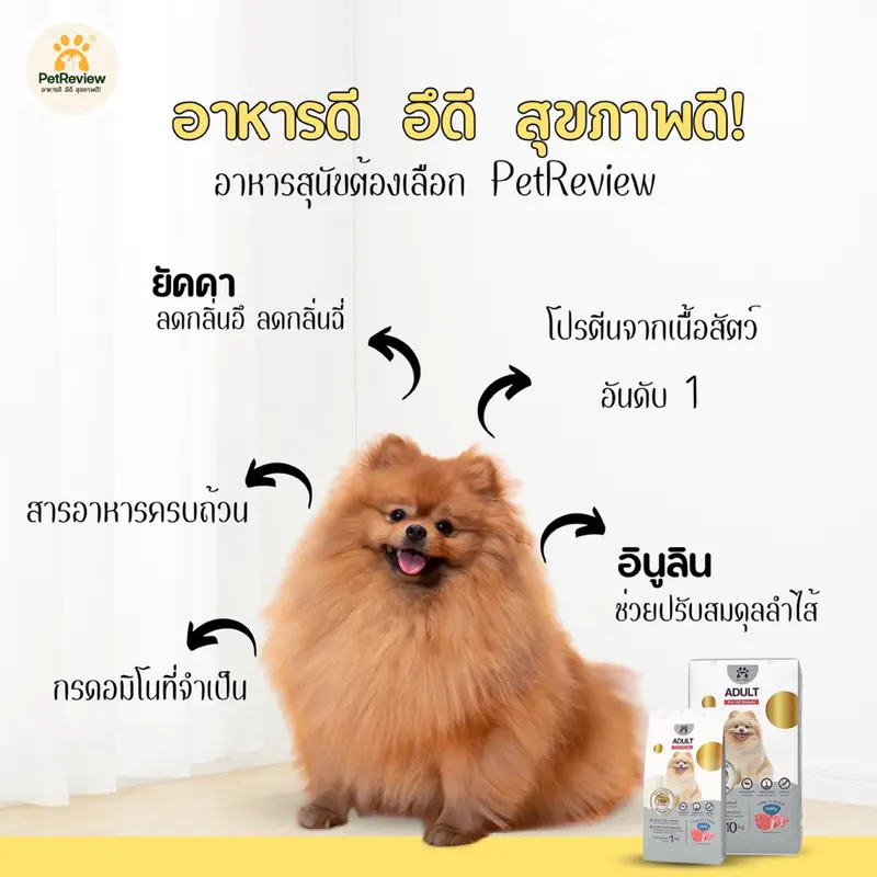 อาหารสุนัขสูตรหมู 10 Kg - ภาพที่ 4
