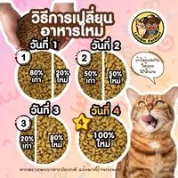 CattyCat Smile M อาหารเม็ดแมวโต… - ภาพที่ 4