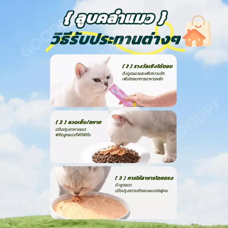 ขนมแมวเลีย 100 ชิ้น คละรส 3 รสชาติ ขนมแมวแบบหลอด Cat… - ภาพที่ 6