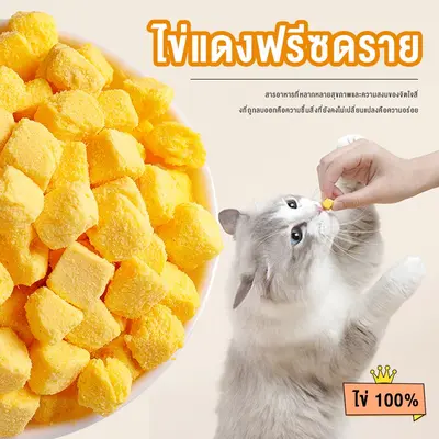 อกไก่ฟรีซดราย ขนมแมว อกไก่แมว ขนมแมวฟรีซดราย อกไก่… - ภาพที่ 5