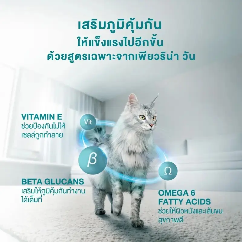 ถูกที่สุด 100 ถุงเท่านั้น ! PURINA ONE… - ภาพที่ 3