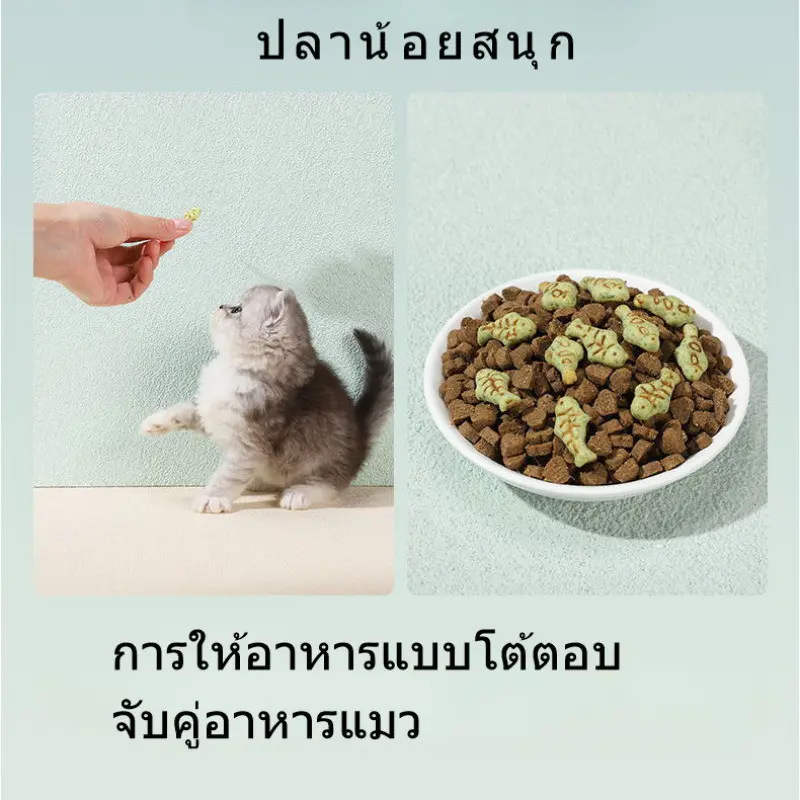 1000gคุกกี้มิ้นท์แมว ขนมแมว ลูกแมวอ้วน… - ภาพที่ 6