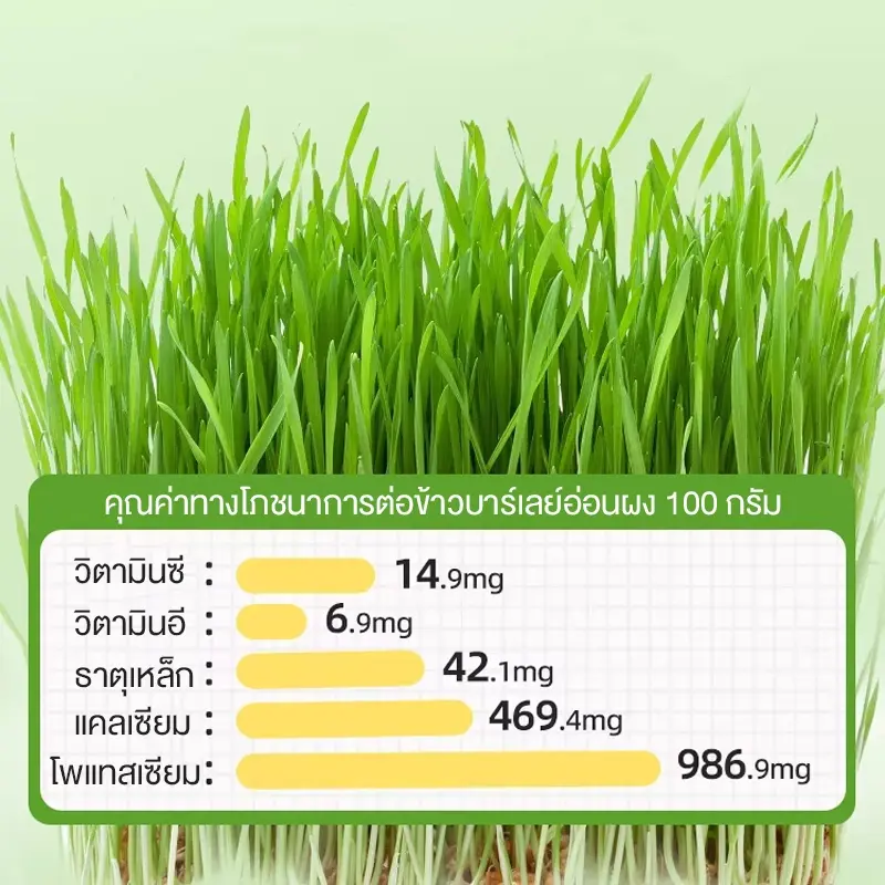 100g ขนมแมวฟรีซดราย อกไก่ผสมหญ้าแมว สูตรช่วยขับก้อนขน… - ภาพที่ 4