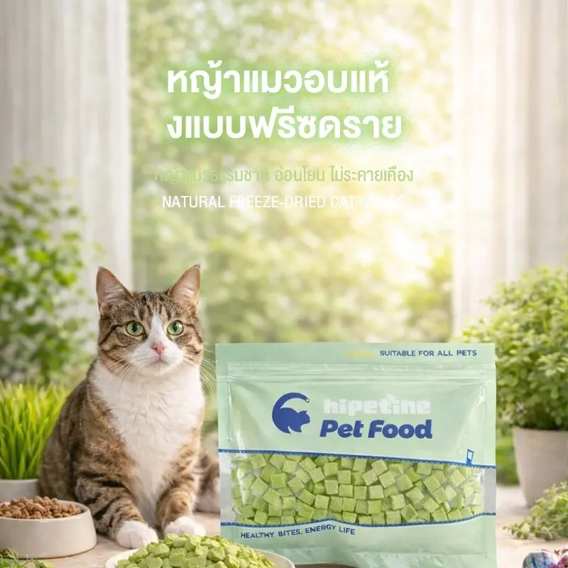 หญ้าแมวฟรีซดราย 100g ช่วยขับก้อนขน บำรุงระบบย่อย… - ภาพที่ 3