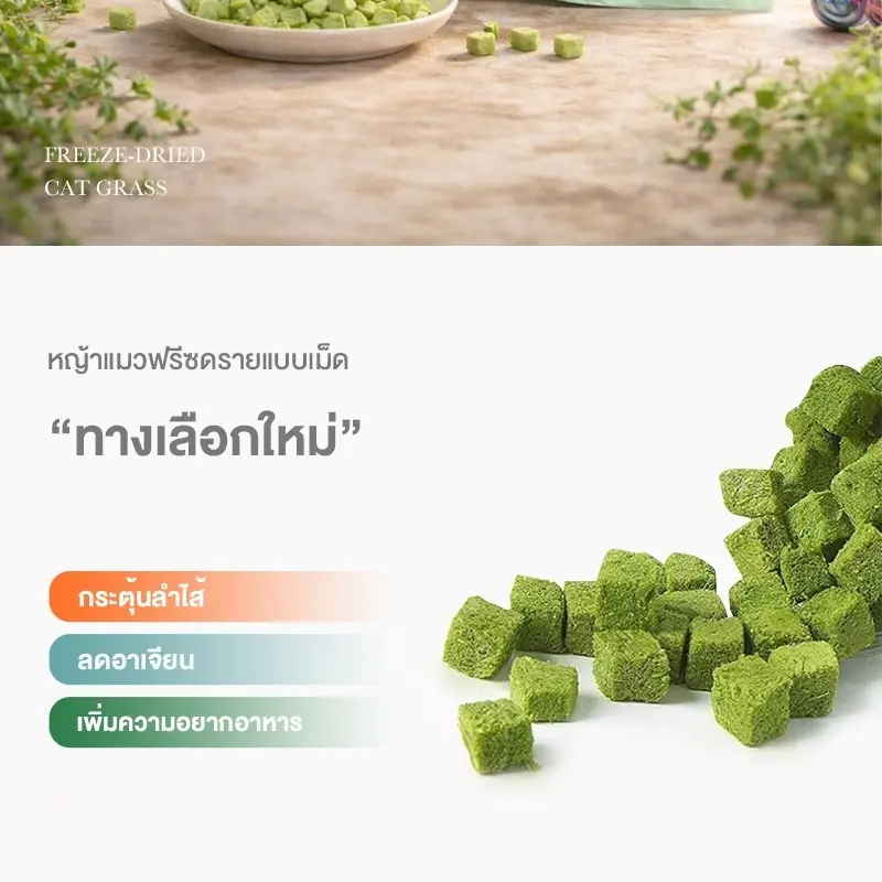 หญ้าแมวฟรีซดราย 100g ช่วยขับก้อนขน บำรุงระบบย่อย… - ภาพที่ 4