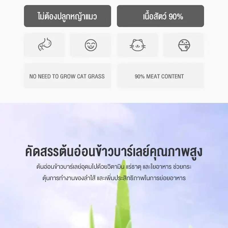หญ้าแมวฟรีซดราย 100g ช่วยขับก้อนขน บำรุงระบบย่อย… - ภาพที่ 5