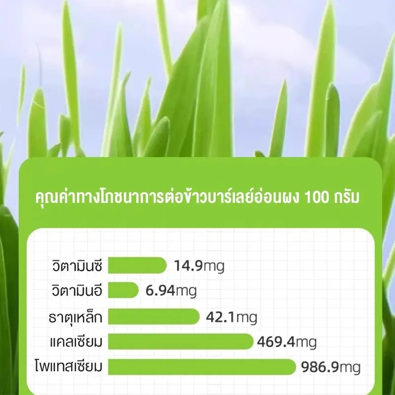 หญ้าแมวฟรีซดราย 100g ช่วยขับก้อนขน บำรุงระบบย่อย… - ภาพที่ 6