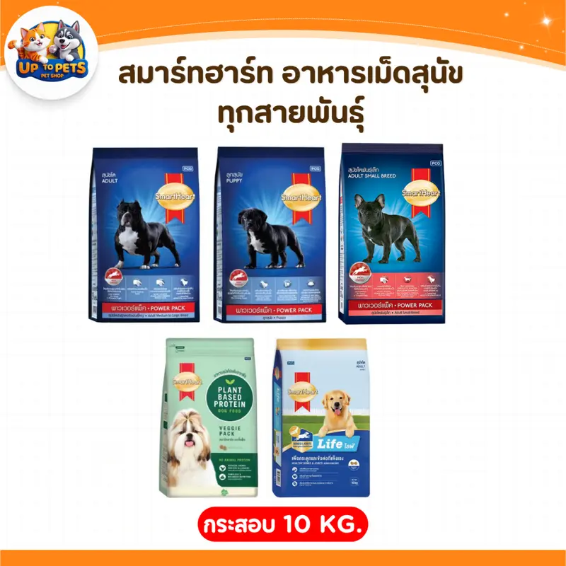 ลูกสุนัข - สุนัขโต… - ภาพที่ 3
