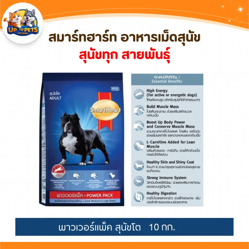 ลูกสุนัข - สุนัขโต… - ภาพที่ 4