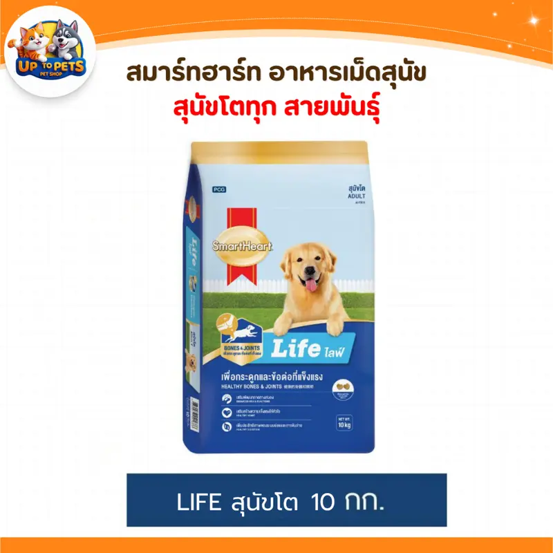 ลูกสุนัข - สุนัขโต… - ภาพที่ 6