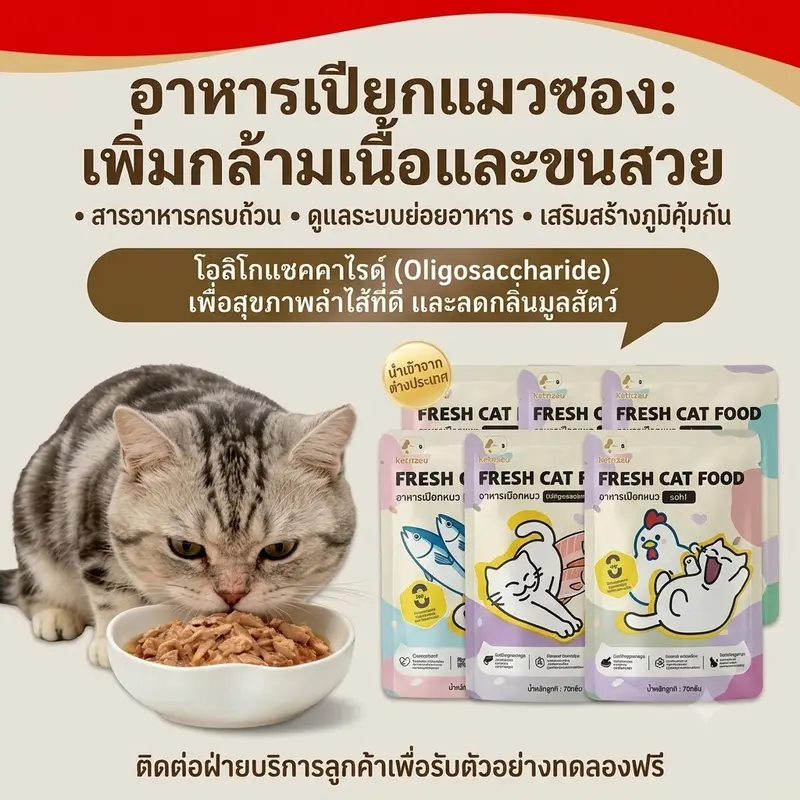 [12/24/48 ซอง] อาหารเปียกแมว เพิ่มความอยากอาหาร รสไก่…