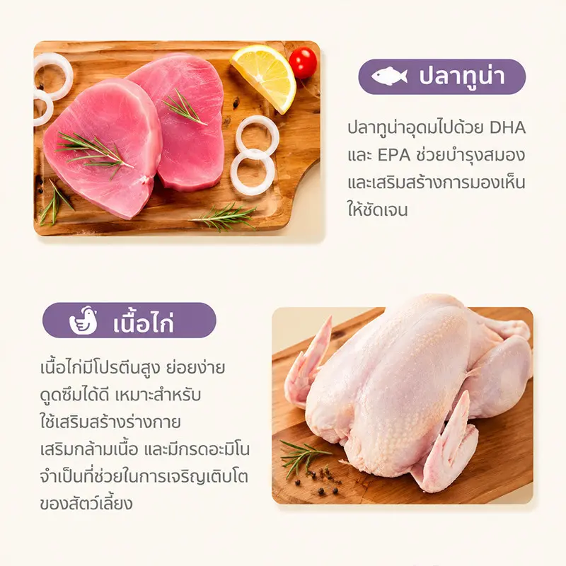 อาหารเปียกแมว สุขภาพดี รสไก่… - ภาพที่ 4