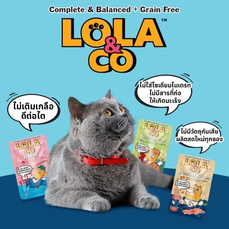 Lola&Co โลล่าแอนด์โค อาหารเปียกแมว สูตร… - ภาพที่ 4