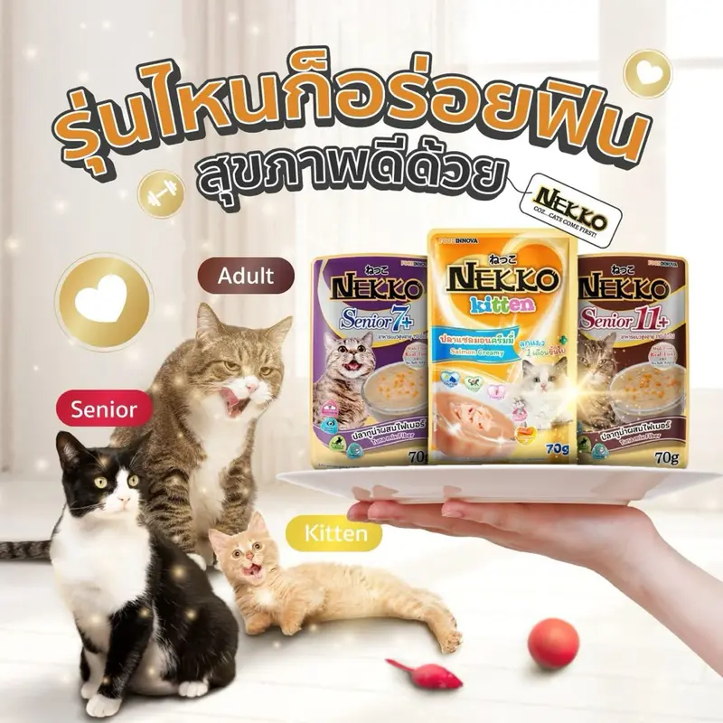 Nekko เน็กโกะ อาหารเปียกแมว คละได้ แมวโต… - ภาพที่ 5