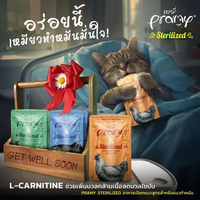 Pramy อาหารเปียกแมวพรามี่… - ภาพที่ 3