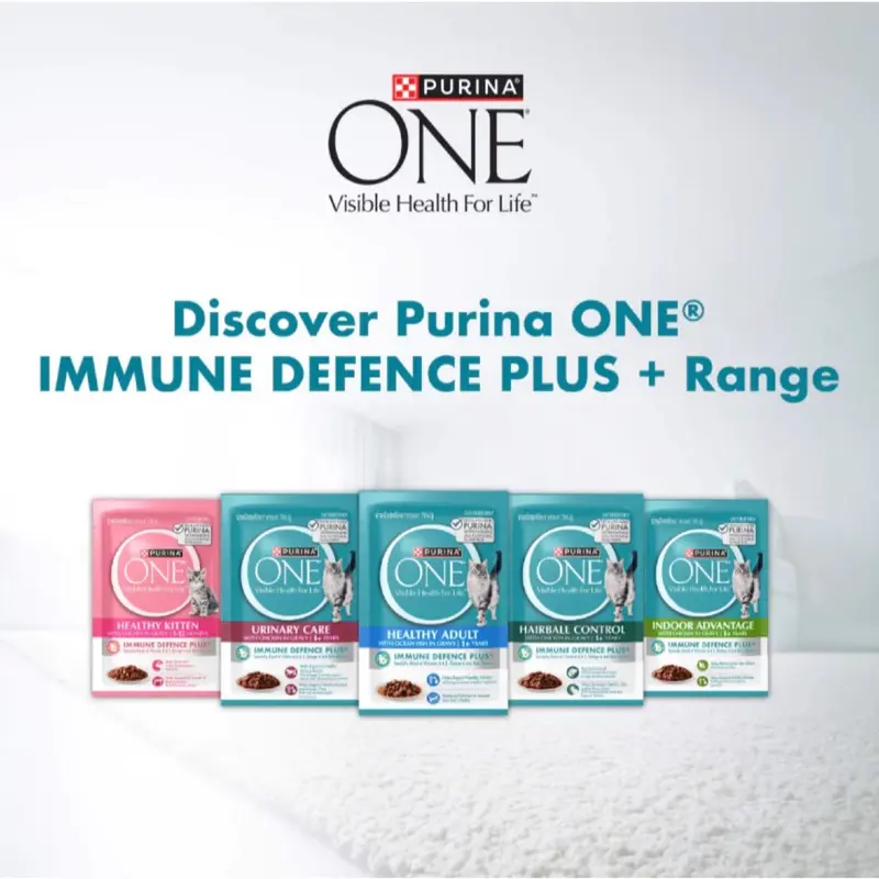 Purina One เพียวริน่าวัน… - ภาพที่ 4