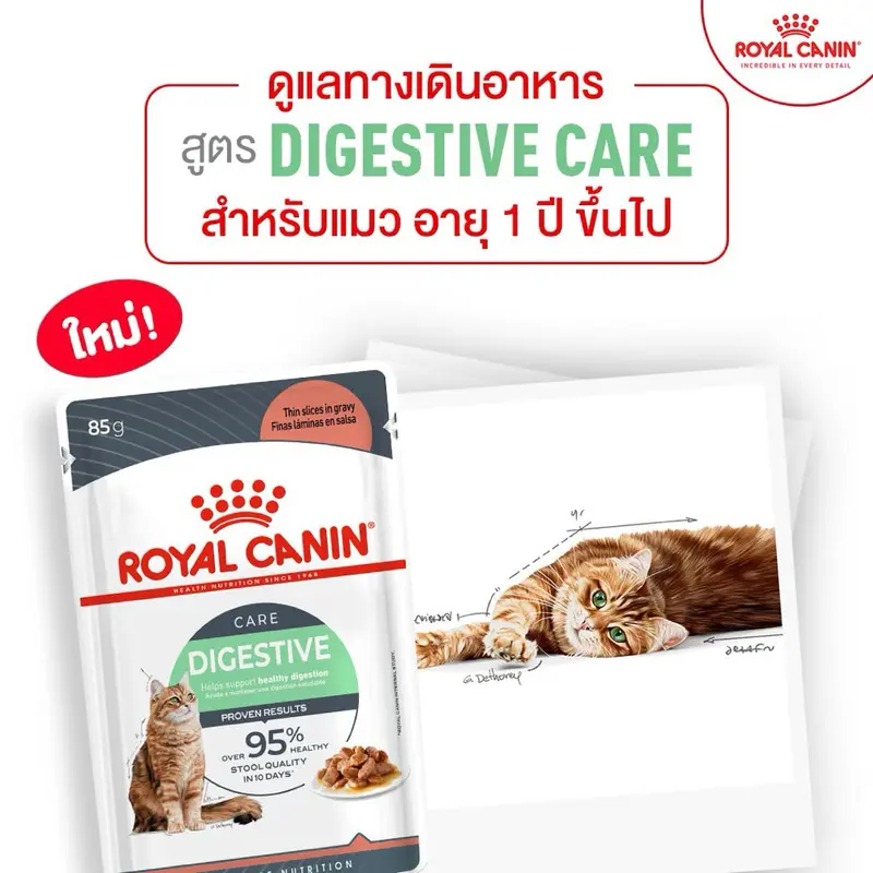 ) Royal canin pouch อาหารเปียกแมว… - ภาพที่ 3
