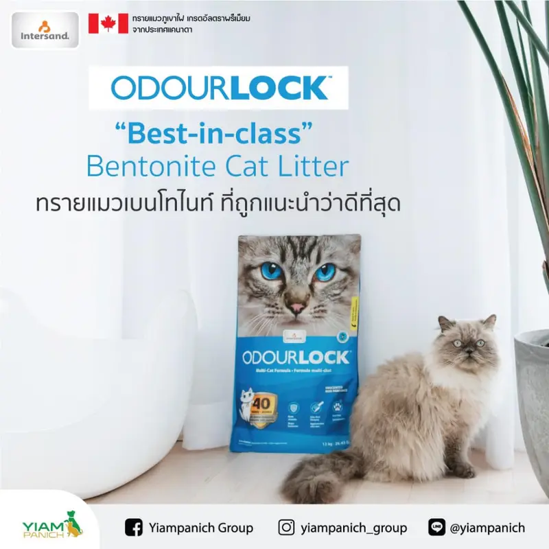 ODOURLOCK โอโดล็อก ทรายแมว หินภูเขาไฟ Ultra… - ภาพที่ 6