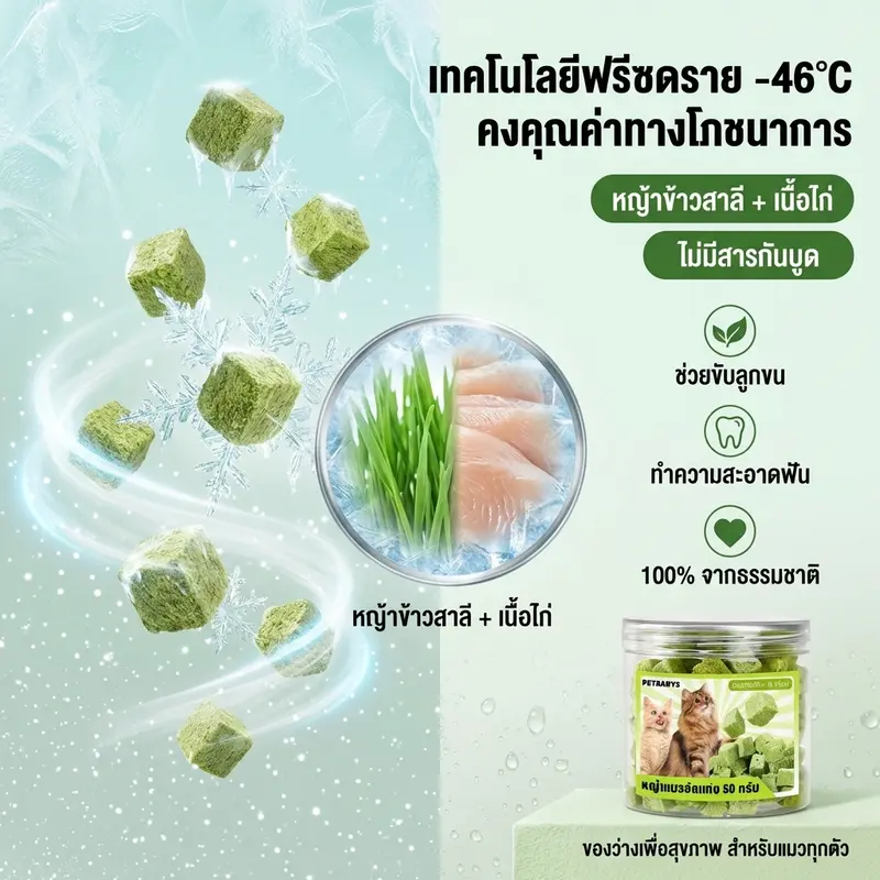 อกไก่ฟรีซดรายขนมฟรีซดราย2.5L ฟรีซดรายขนมแมวไก่ฟรีซดร… - ภาพที่ 6