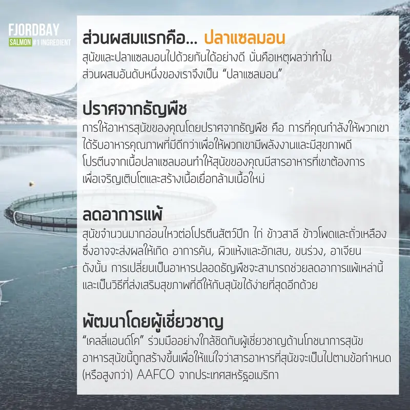 เคลลี่แอนด์โค อาหารสุนัขเกรนฟรี พรีเมี่ยม ฟอร์ดเบย์… - ภาพที่ 6