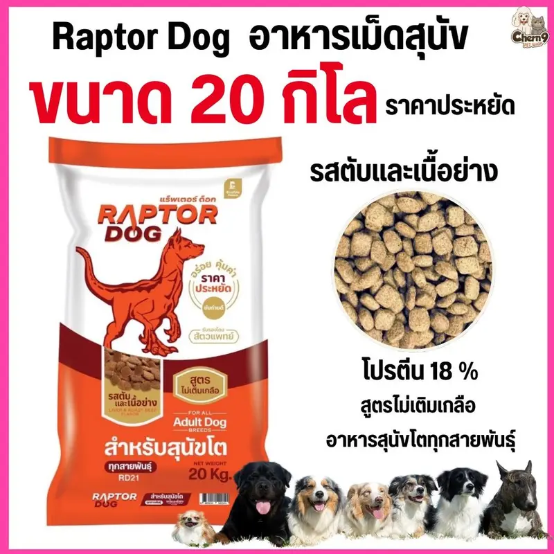 ] แร๊พเตอร์ด๊อก Raptor Dog อาหารสุนัขโต… - ภาพที่ 4