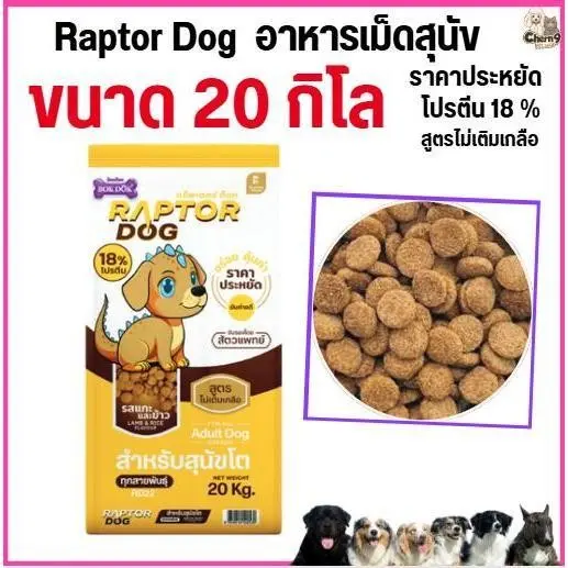 ] แร๊พเตอร์ด๊อก Raptor Dog อาหารสุนัขโต… - ภาพที่ 5