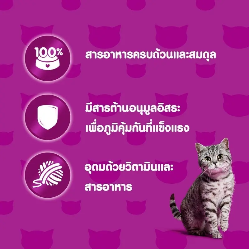 WHISKAS วิสกัส อาหารเปียกแมว แมวโต ลูกแมว… - ภาพที่ 6