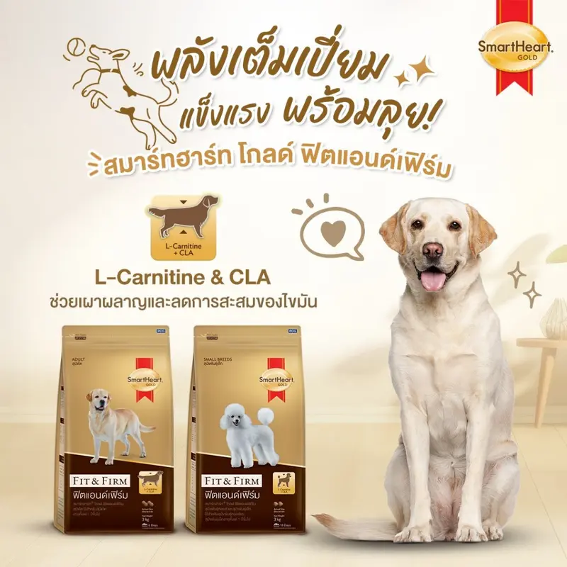 SmartHeart gold อาหารเม็ดสุนัข Fit&Firm… - ภาพที่ 3