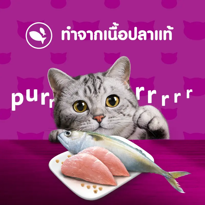 WHISKAS วิสกัส อาหารเปียกแมว ลูกแมว แมวโต… - ภาพที่ 5
