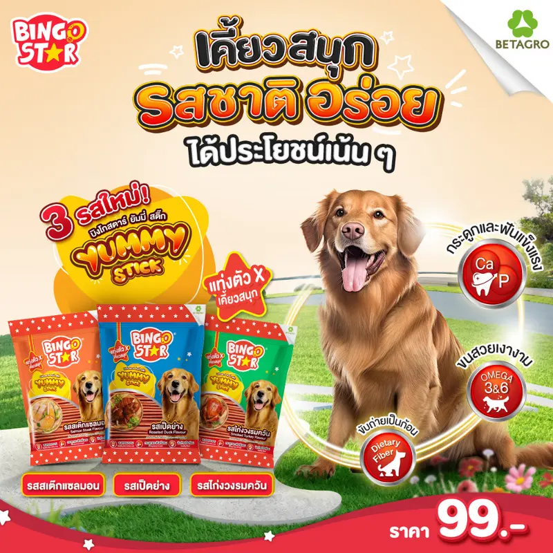 ขนมสุนัข Bingo Star Yummy Stick… - ภาพที่ 4