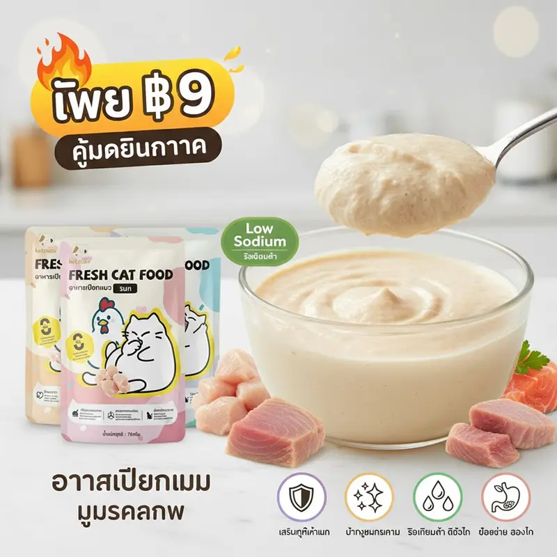 [ดีต่อไต/ไม่เค็ม] อาหารเปียกแมว 70g บำรุงขน+สายตา…