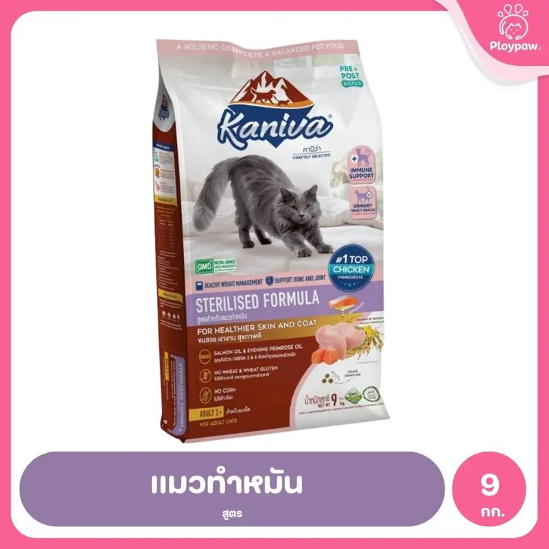 Kaniva ปราศจากกลูเตน,ข้าวโพด,ขาวสา… - ภาพที่ 6