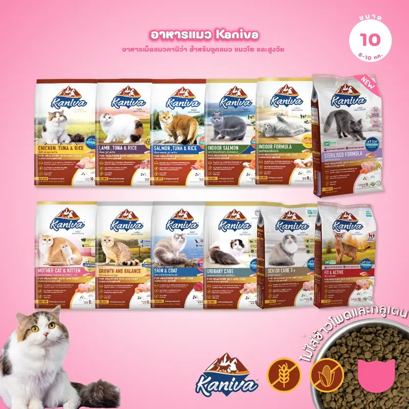[ยกกระสอบ 8-10 กก.] Kaniva ปราศจากกลูเตน,ข้าวโพด,ขาวสา…
