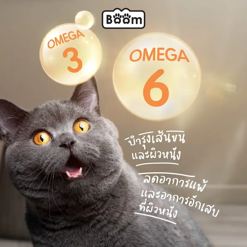 Boom อาหารแมว รสทูน่า เสริมภูมิคุ้มกัน ไม่เค็ม… - ภาพที่ 5