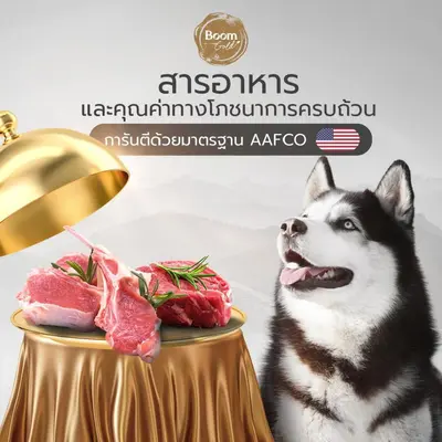 Boom Gold อาหารสุนัข รสเนื้อแกะ 10 KG เกรดพรีเมียม… - ภาพที่ 6