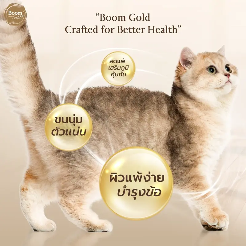 Boom Gold อาหารแมว รสแกะ 7 Kg พรีเมียมเกรดจากเนื้อสัตว… - ภาพที่ 4