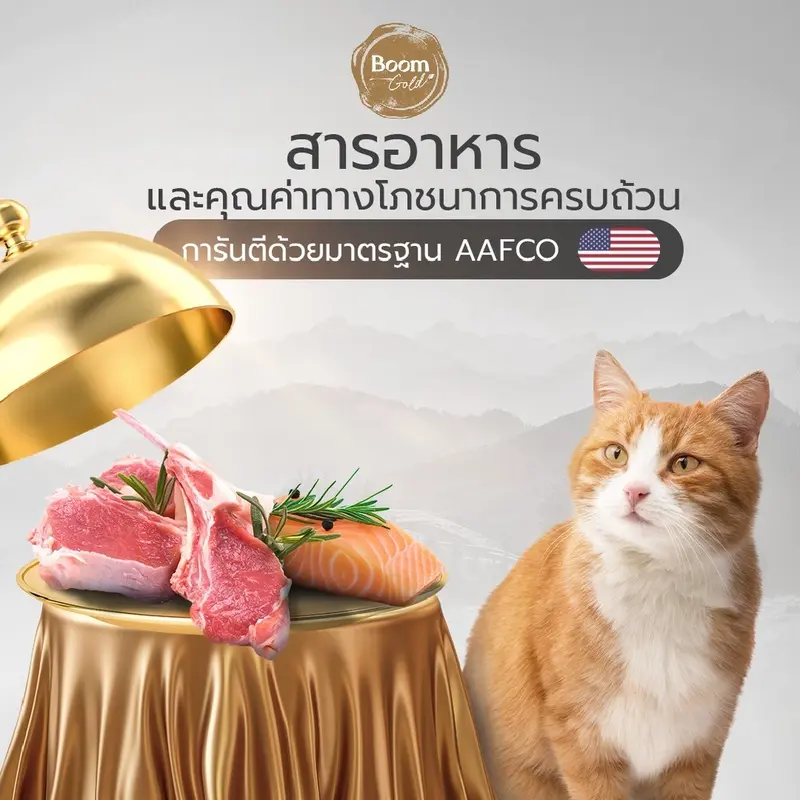 Boom Gold อาหารแมว รสแกะ 7 Kg พรีเมียมเกรดจากเนื้อสัตว… - ภาพที่ 5