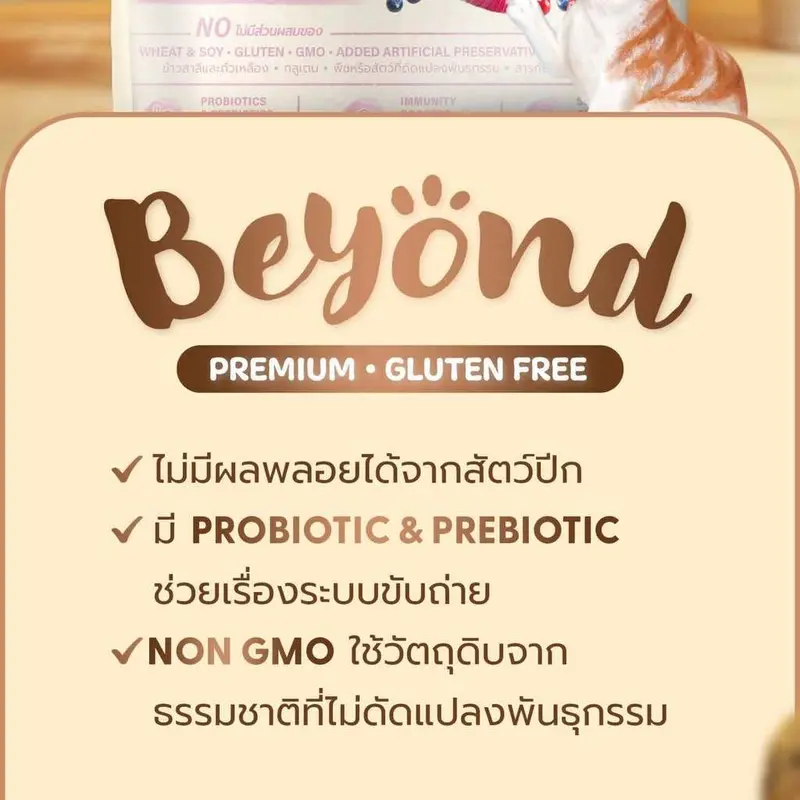 อาหารเม็ดแมว Buzz Beyond บัซซ์ บียอนด์ - ลูกแมว แม่แมว… - ภาพที่ 4