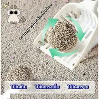 C-Alpha ทรายแมว 5L กลิ่นลาเวนเดอร์/กลิ่นกาแฟ… - ภาพที่ 6