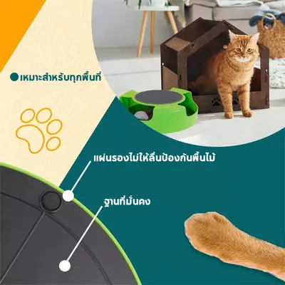 ของเล่นจานเสียงแมว รางบอลแมว ของเล่นแมว Catch the… - ภาพที่ 6