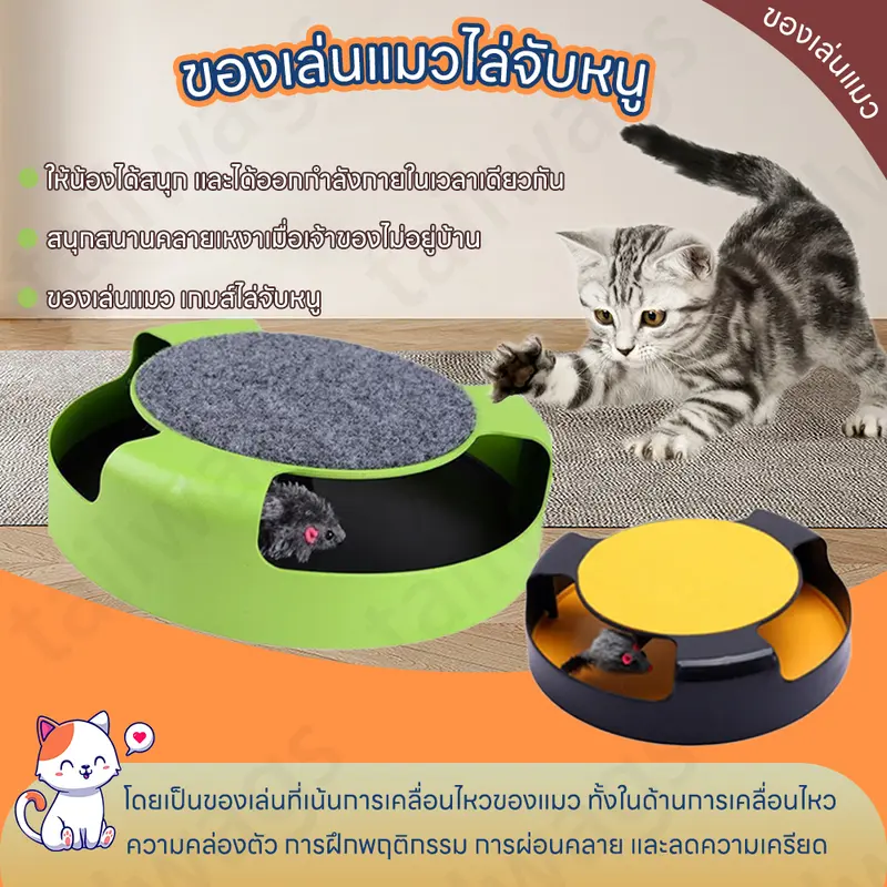 😻ของเล่นแมว ของเล่นแมวไล่จับหนู ของเล่นจานเสียงแมว… 😻ของเล่นแมว ของเล่นแมวไล่จับหนู ของเล่นจานเสียงแมว…