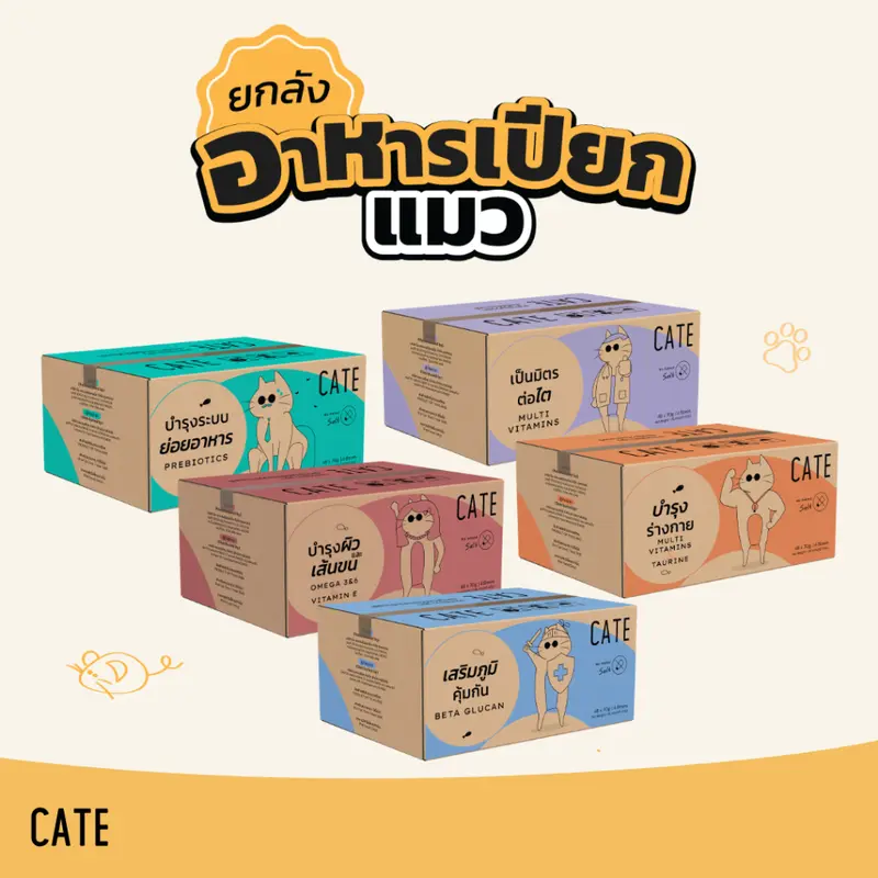 อาหารเปียกแมว CATE 70 กรัม บำรุงสุขภาพแมวทุกวัน อาหารเปียกแมว CATE 70 กรัม บำรุงสุขภาพแมวทุกวัน