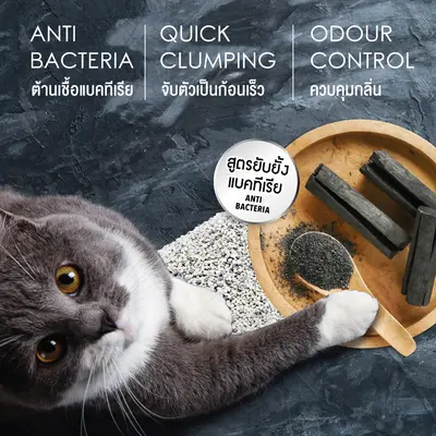 CatMe Classic แคสมี ทรายแมวภูเขาไฟ สูตร… - ภาพที่ 5