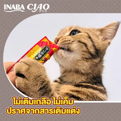 CIAO Chi-ru เชา ขนมแมวเลีย เชาว์… - ภาพที่ 4