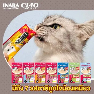 CIAO Chi-ru เชา ขนมแมวเลีย เชาว์… - ภาพที่ 5
